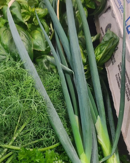 Green Onion